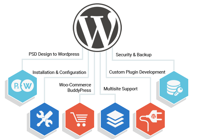 Wordpress Development